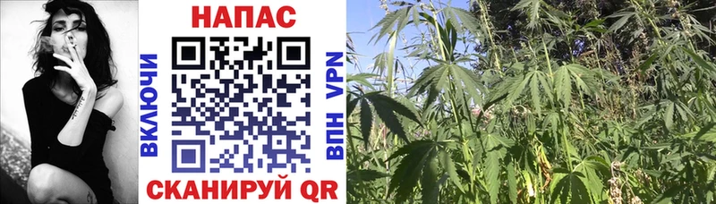 Купить Остров Бошки Шишки МЕФ Cocaine ГАШ