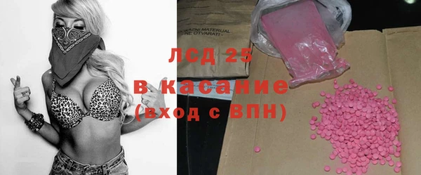 ГАЛЛЮЦИНОГЕННЫЕ ГРИБЫ Аркадак