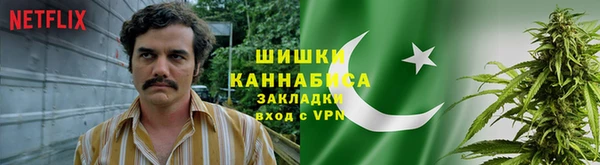 ГАЛЛЮЦИНОГЕННЫЕ ГРИБЫ Аркадак