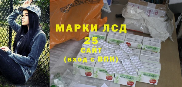 ГАЛЛЮЦИНОГЕННЫЕ ГРИБЫ Аркадак